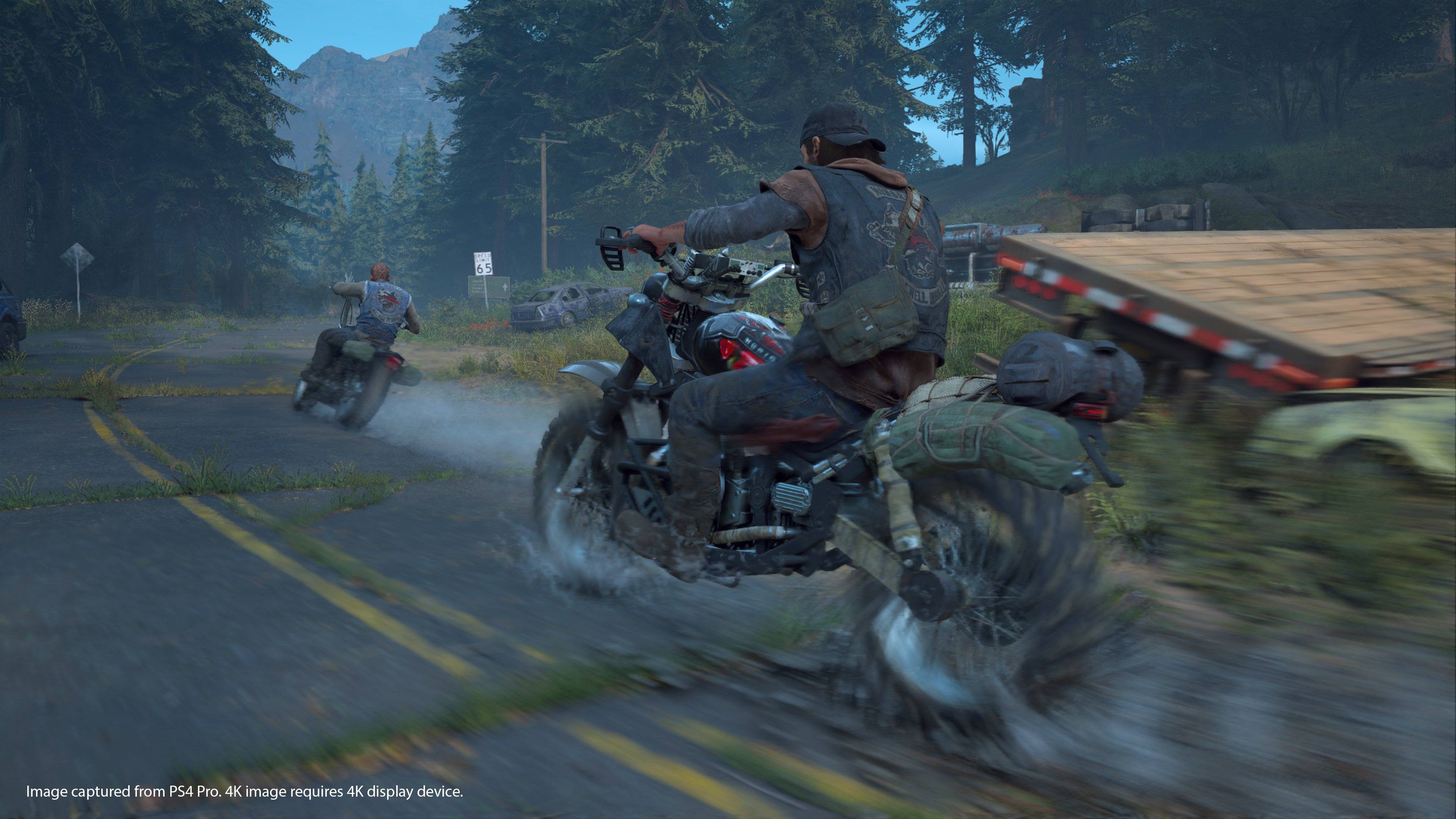Days Gone - Imagen 29